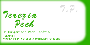 terezia pech business card